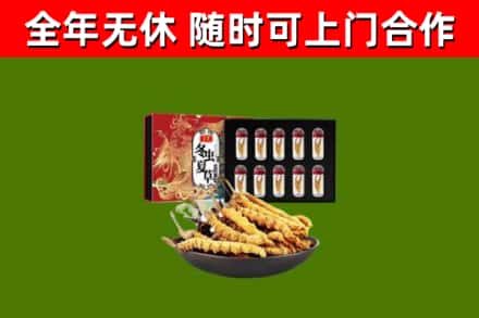 江城区烟酒回收冬虫夏草礼盒.jpg